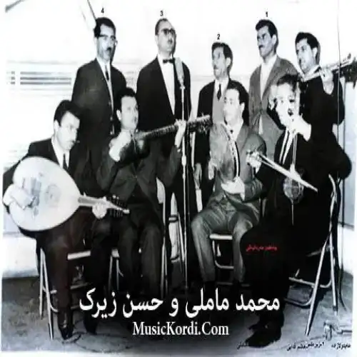 هه‌واره بلی هه‌واری